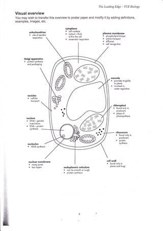 The Leading Edge           -   VCE Biology

Visual overview
You may wish to transfer this overview to poster paper and modify it by adding definitions,
examples, images, etc.

                                          cytoplosm
                mitochondrion
                                          o   cell conlents
                .                         .   cytosol - fluid              plosmo membr<rne
                       site of oerobic
                                              within the cell              o   phospholipid biloyer
                       respirotion
                                          .   onoerobic respirotion        o   octive tronsport
                                                                           .   diffusion
                                                                           .   cell recognition




                                                                                    vqcuole
                                                                                    o   provides turgidily
                                                                                        in plonts
                                                                                    .   involved in
                                                                                        woier regulotion


         vesicles
            .        cellulor
                     konsport

                                                                                        chloroplost
                                                                                        o   found only in
                                                                                            producers
                                                                                        .

                                                                4r ?j
                                                                                            ploce of
                                                                                            pholosynhesis
        nucleus
        .                                                       ,:
        o
                    DNA   - genetic
                    inskuctions
                    RNA - proiein
                    synhesis
                                                                )u2>
                                                                S7:    /
                                                                                            ribosomes
                                                                                            .   found only in
                                                                                                producers
                                                                                            r   protein
            nucleolus                                                                           synthesis




            nucleor membrone                                                   cell woll
                .     mony Pores
                                                                               .   found only in
                .     h,vo loyers        endoplosmic reticulum
                                                                                   plonts ond fungi
                                         . cqn be smoolh or rough
                                         o protein synthesis
 