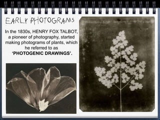 In the 1830s, HENRY FOX TALBOT,
a pioneer of photography, started
making photograms of plants, which
he referred to as
‘PHOTOGENIC DRAWINGS’.
 