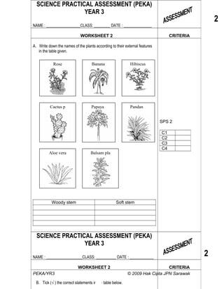 yr3 science practical assessment