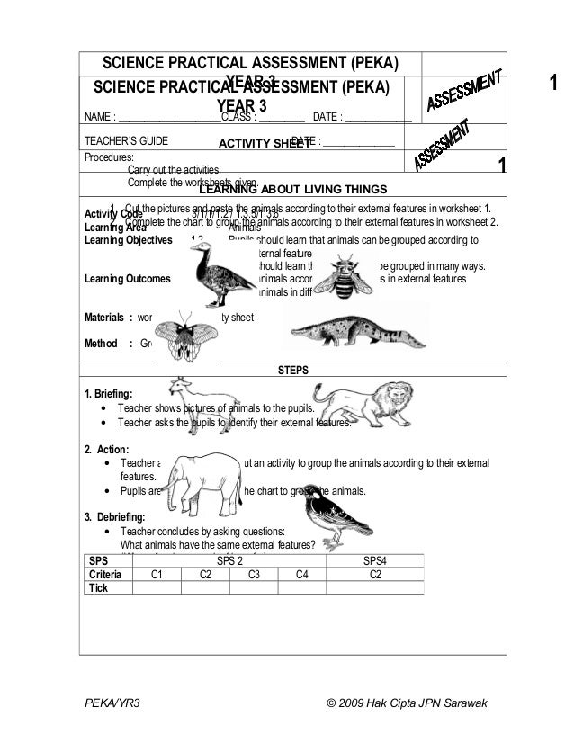 yr3 science practical assessment