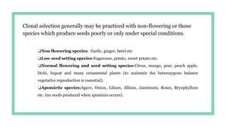 Clonal selection generally may be practiced with non-flowering or those
species which produce seeds poorly or only under special conditions.
❏Non flowering species: Garlic, ginger, betel etc.
❏Low seed setting species:Sugarcane, potato, sweet potato etc.
❏Normal flowering and seed setting species:Citrus, mango, pear, peach apple,
litchi, loquat and many ornamental plants (to maintain the heterozygous balance
vegetative reproduction is essential).
❏Apomictic species:Agave, Onion, Lilium, Allium, Jasminum, Roses, Bryophyllum
etc. (no seeds produced when apomixis occurs).
 