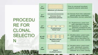 PROCEDU
RE FOR
CLONAL
SELECTIO
N
 