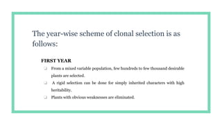 The year-wise scheme of clonal selection is as
follows:
FIRST YEAR
❏ From a mixed variable population, few hundreds to few thousand desirable
plants are selected.
❏ A rigid selection can be done for simply inherited characters with high
heritability.
❏ Plants with obvious weaknesses are eliminated.
 