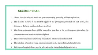 SECOND YEAR
❏ Clones from the selected plants are grown separately, generally, without replication .
❏ This is done in view of the limited supply of the propagating material for each clone, and
because of the large number of clones involved.
❏ The characteristics of clones will be more clear now than in the previous generation when the
observations were based on individual plants
❏ The number of clones is drastically reduced and inferior clones eliminated.
❏ The selection is based on visual observations and on the basis of clonal characteristics
❏ Fifty to one hundred clones may be selected on the basis of clonal characteristics
 