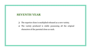 SEVENTH YEAR
❏ The superior clone is multiplied released as a new variety.
❏ The variety produced is stable possessing all the original
characters of the parental clone as such.
 