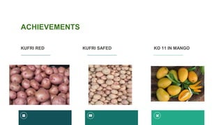 ACHIEVEMENTS
KUFRI RED KUFRI SAFED KO 11 IN MANGO
 