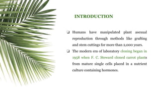 ❏ Humans have manipulated plant asexual
reproduction through methods like grafting
and stem cuttings for more than 2,000 years.
❏ The modern era of laboratory cloning began in
1958 when F. C. Steward cloned carrot plants
from mature single cells placed in a nutrient
culture containing hormones.
INTRODUCTION
 