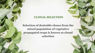 Selection of desirable clones from the
mixed population of vegetative
propagated crops is known as clonal
selection
CLONAL SELECTION
 