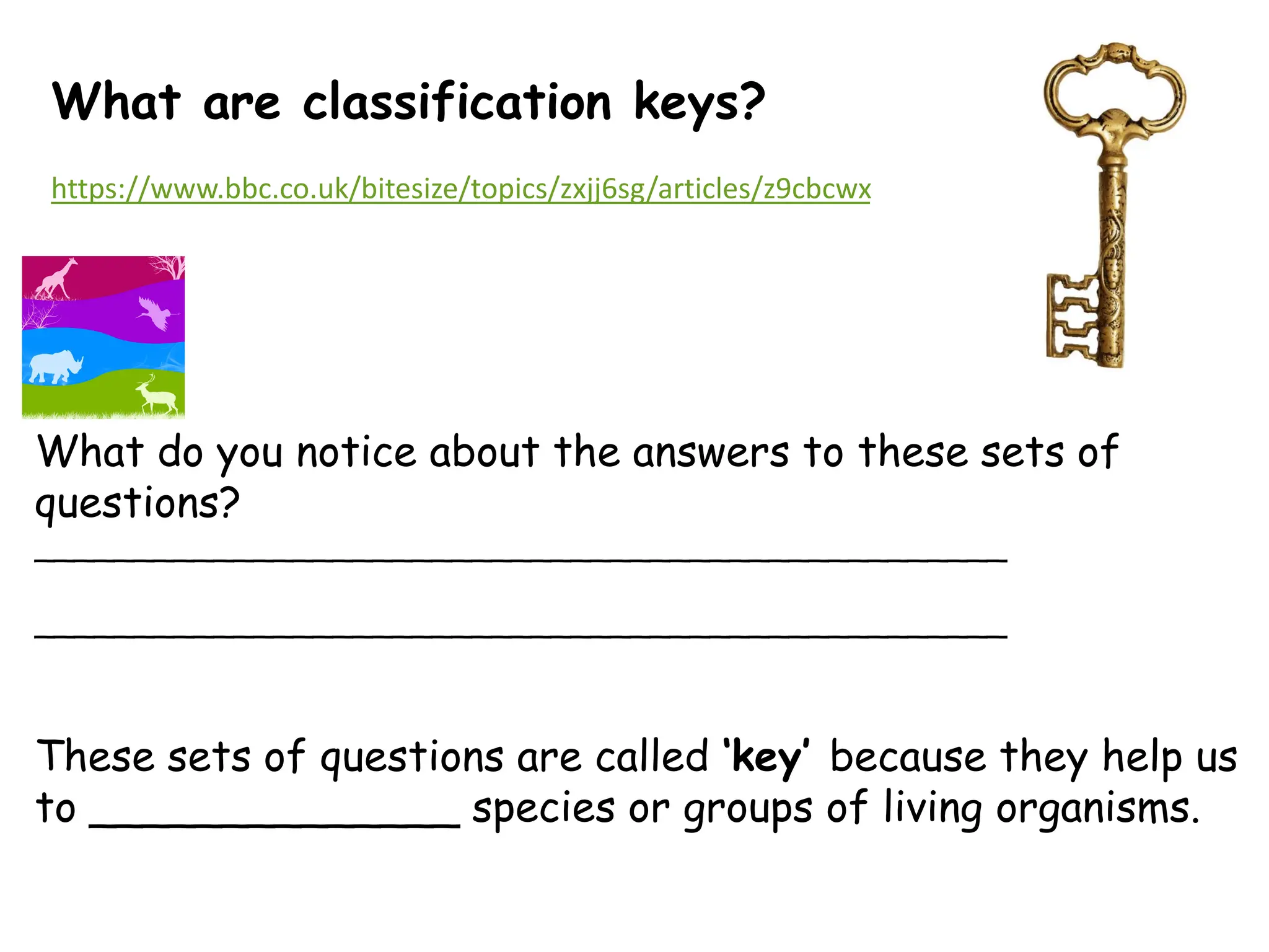 classification for grade 6 students or upper | PDF