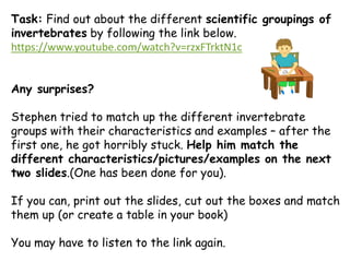 classification for grade 6 students or upper | PDF