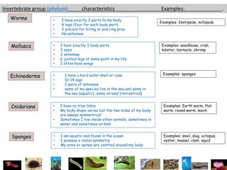 Key Activities Slide Example classification for grade 6 students or upper | PDF