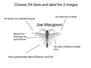 Yr 7 insect clay tiles1 | PPT | Drawing and Sketching | Arts and Crafts