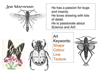 Yr 7 insect clay tiles2 | PPT