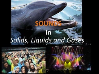 SOUNDS
In
Solids, Liquids and Gases

 