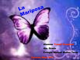 La Mariposa Alumna: Yramli Grazziani 4to. Grado Colegio Manuel Muñoz Tevar Caracas, Mayo 2011 