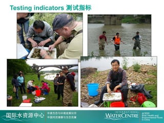 Testing indicators 测试指标
 