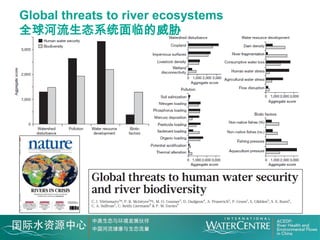 Global threats to river ecosystems
全球河流生态系统面临的威胁
 