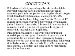 COCCIDIOSIS
• Koksidiosis disebut juga sebagai berak darah adalah
penyakit parasiter yang menimbulkan gangguan
terutama pada saluran pencernaan bagian aboral. Angka
kesakitan dan kematian dapat mencapai 80-90%.
• Kosidiosis disebabkan oleh genus Eimeria. Terdapat 12
macam spesies Eimeria yang menyerang ternak ayam,
yaitu E. tenella, E. necatrix, E. brunetti, E. acerveulina, E.
maxima, E. mitis, E. mivati, E. praecox, E. hagani, E.
tyssarni, E. myonella, dan E. gallinae.
• Pada umumnya hanya 3 type yang menimbulkan
masalah pada ayam yaitu, E. tenella, E. necatrix dan E.
acervulina. Setiap spesies akan menyerang bagian-
bagian tertentu dari usus ayam demikian juga luka yang
ditimbulkan akan berbeda-beda. E. tenella menyerang
usus buntu . E. necatrix dan yang lainnya menyerang
usus halus dan anus.
 
