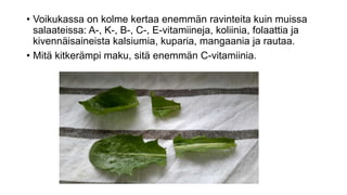 • Voikukassa on kolme kertaa enemmän ravinteita kuin muissa
salaateissa: A-, K-, B-, C-, E-vitamiineja, koliinia, folaattia ja
kivennäisaineista kalsiumia, kuparia, mangaania ja rautaa.
• Mitä kitkerämpi maku, sitä enemmän C-vitamiinia.
 