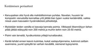 Keräämisen periaatteet
• Keruupaikan olisi hyvä olla mahdollisimman puhdas. Navetan, huussin tai
kompostin vierustoilta kannattaa yrtit jättää liian typen vuoksi keräämättä, vaikka
niissä usein kasvaakin hyvännäköisiä pöheikköjä.
• Myöskään teiden varsilta ei kasveja kannata poimia. Vilkkaasti liikennöityyn tiehen
pitää jättää etäisyyttä noin 200 metriä ja muihin teihin noin 25-50 metriä.
• Poimi vain terveitä, hyväkuntoisia yrttejä kuivattavaksi.
• Kerää lehdet ennen kasvin kukintaa, kukat vastapuhjenneina, kukinnot osittain
auenneina, juuret syksyllä tai varhain keväällä, siemenet kypsyneinä.
 
