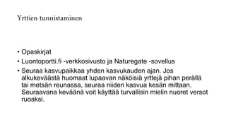 Yrttien tunnistaminen
• Opaskirjat
• Luontoportti.fi -verkkosivusto ja Naturegate -sovellus
• Seuraa kasvupaikkaa yhden kasvukauden ajan. Jos
alkukeväästä huomaat lupaavan näköisiä yrttejä pihan perällä
tai metsän reunassa, seuraa niiden kasvua kesän mittaan.
Seuraavana keväänä voit käyttää turvallisin mielin nuoret versot
ruoaksi.
 