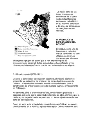 La mayor parte de las
áreas boscosas se
encuentran en la parte
norte de las Regiones
Autónomas del Atlántico,
en su mayoría latifoliadas
y de pino, así como áreas
de manglares en los
litorales.
III. POLITICAS DE
EXPLOTACION DEL
BOSQUE
El bosque, como uno de
los recursos naturales
menos valorados, ha sido
utilizado en diversos
momentos por intereses
extranjeros y grupos de poder que lo han explotado para su
enriquecimiento personal. Estas actividades se han reflejado en los
diversos modelos económicos que se han implementado en el país.
3.1 Modelo colonial (1502-1821)
Durante la conquista y colonización española, el modelo económico
imperante fue extractivo, de enclave y de cara a los intereses de la
Corona. La explotación maderera sirvió fundamentalmente para la
construcción de embarcaciones desde diversos puertos, principalmente
en El Realejo.
No obstante, ante el afán de extraer oro, otros metales preciosos y
especias, así como por la esclavitud de la mano de obra, el interés por la
madera y en especial maderas preciosas no fue un eje de acumulación
para los colonizadores.
Como se sabe, esta actividad del colonialismo español tuvo su asiento
principalmente en el Pacífico y parte de la región Centro-Norte del país;
 