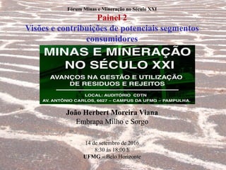 Fórum Minas e Mineração no Século XXI
Painel 2
Visões e contribuições de potenciais segmentos
consumidores
João Herbert Moreira Viana
Embrapa Milho e Sorgo
14 de setembro de 2016
8:30 às 18:00 h
UFMG – Belo Horizonte
 