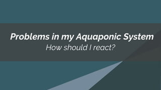 How should I react?
Problems in my Aquaponic System
 