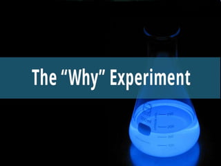 So What’s Missing?The Experiment
 