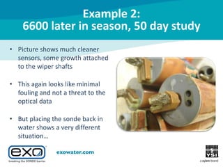 Example 2:
6600 later in season, 50 day study
• Picture shows much cleaner
sensors, some growth attached
to the wiper shafts
• This again looks like minimal
fouling and not a threat to the
optical data
• But placing the sonde back in
water shows a very different
situation…

 