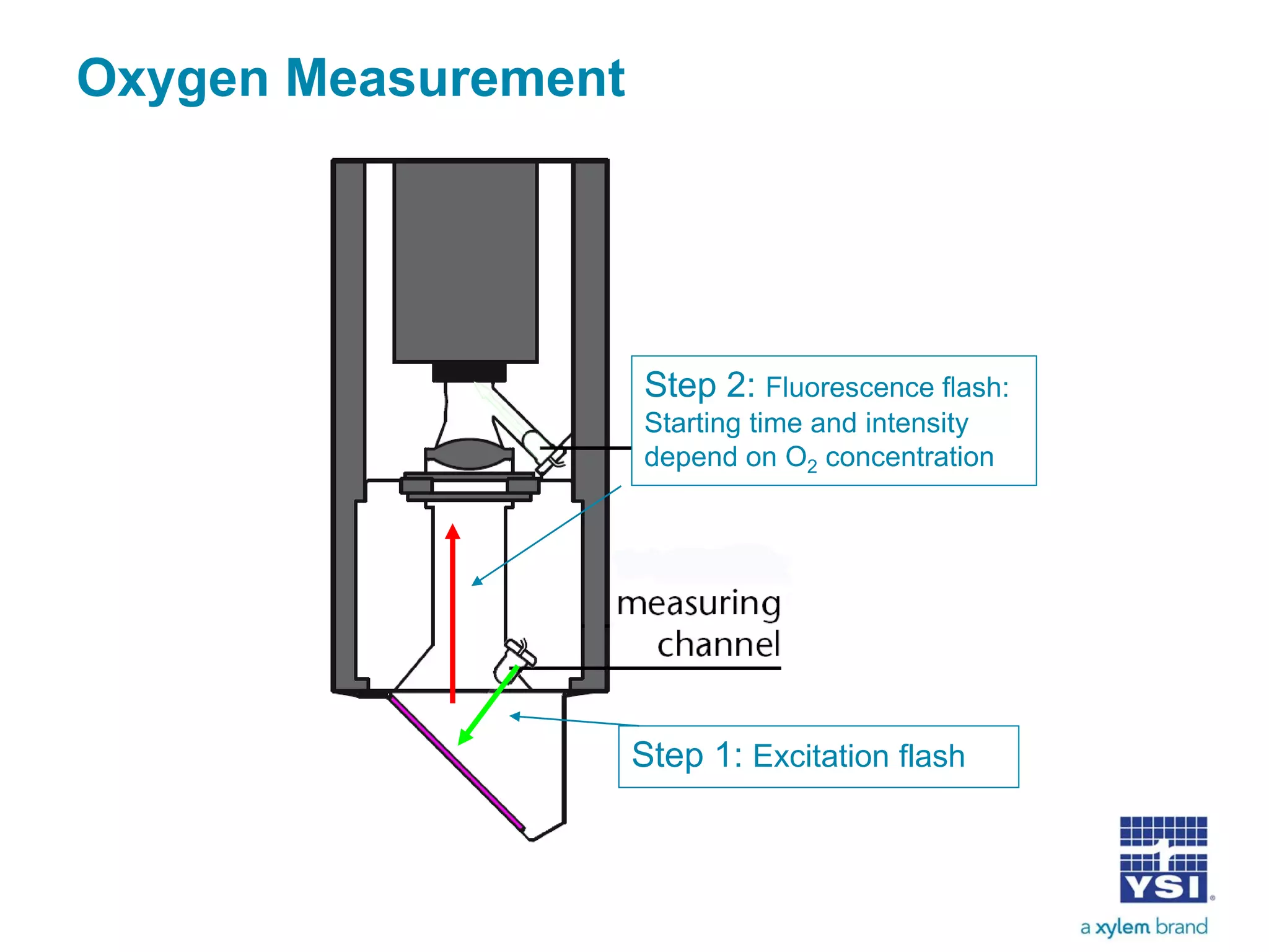 Step 1: Excitation flash
Step 2: Fluorescence flash:
Starting time and intensity
depend on O2 concentration
Oxygen Measurement
 