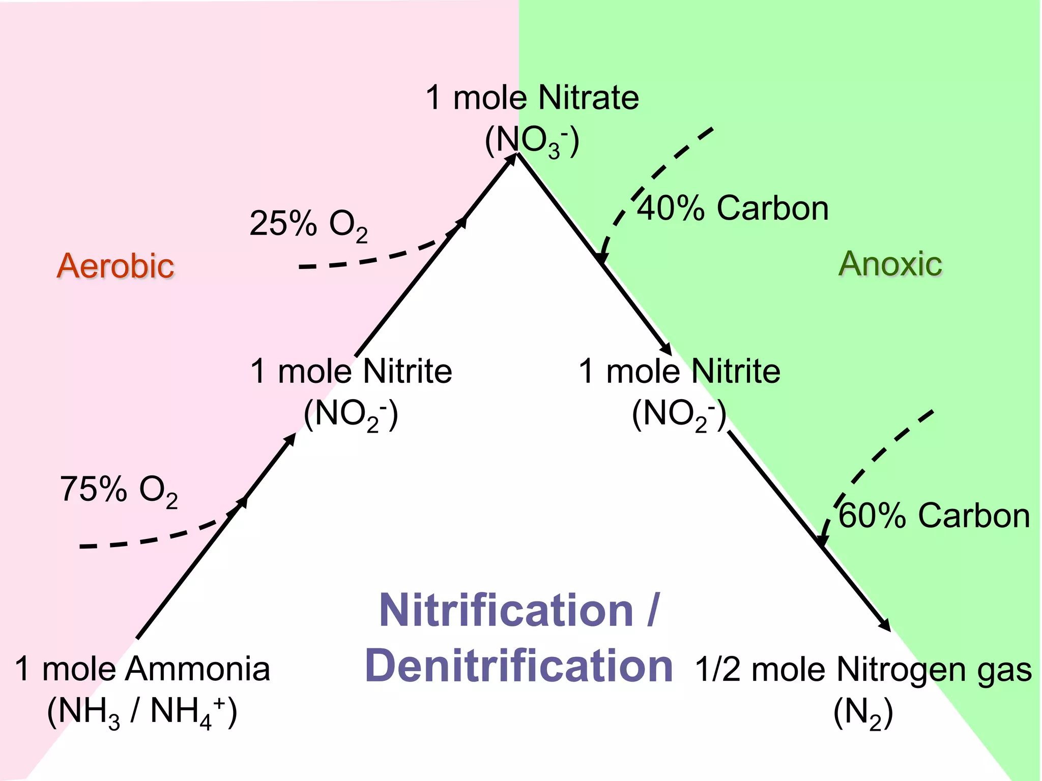 1 mole Ammonia
(NH3 / NH4
+)
1 mole Nitrite
(NO2
-)
1 mole Nitrate
(NO3
-)
1 mole Nitrite
(NO2
-)
1/2 mole Nitrogen gas
(N2)
75% O2
25% O2
40% Carbon
60% Carbon
Nitrification /
Denitrification
Aerobic Anoxic
 
