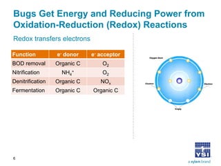 Bugs Get Energy and Reducing Power from Oxidation-Reduction (Redox) Reactions 
Redox transfers electrons 
Function 
e- donor 
e- acceptor 
BOD removal 
Organic C 
O2 
Nitrification 
NH4+ 
O2 
Denitrification 
Organic C 
NOx 
Fermentation 
Organic C 
Organic C 
6 
 