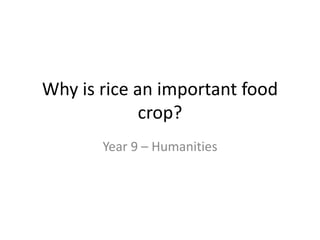 Why is rice an important food
crop?
Year 9 – Humanities
 