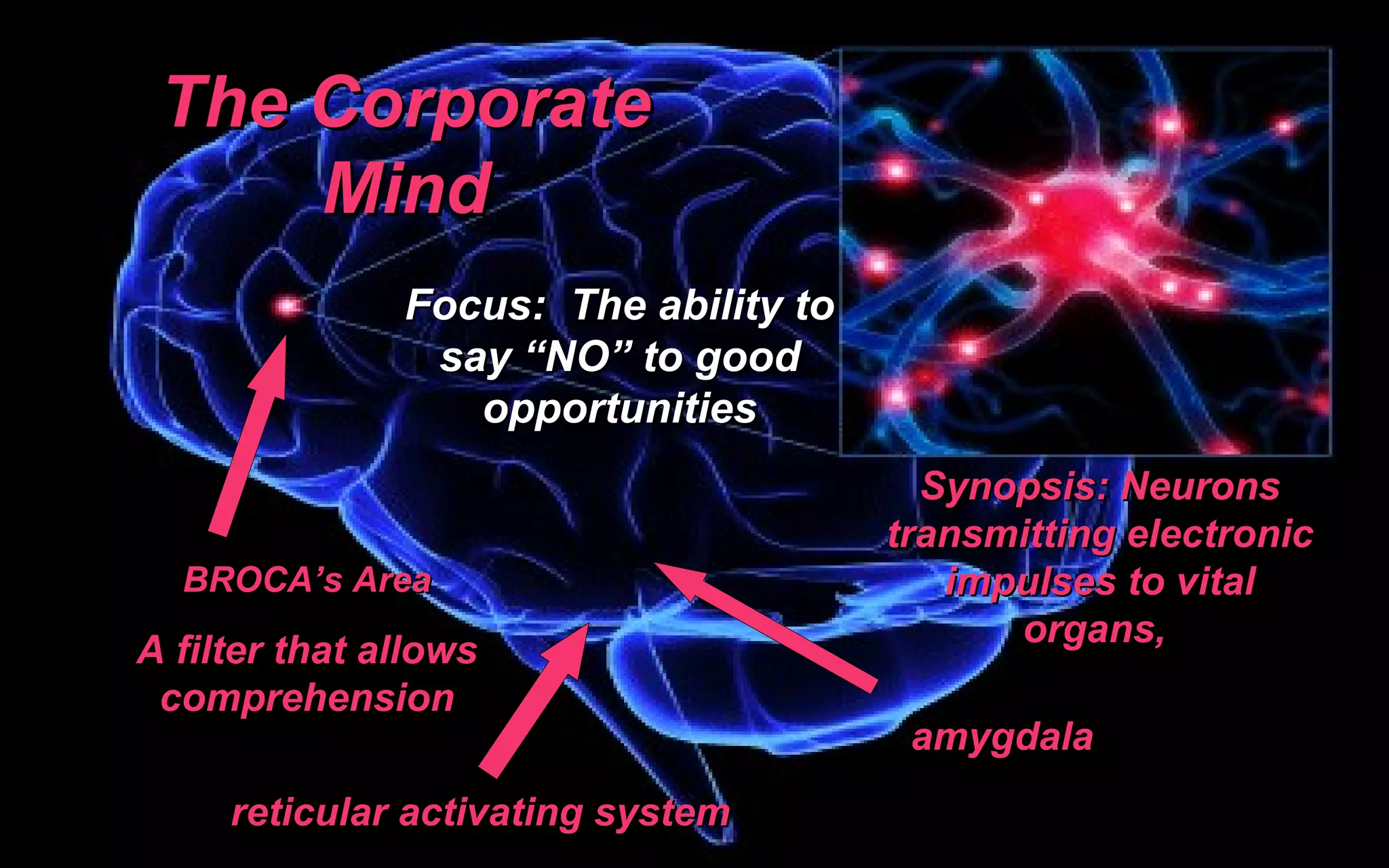 BROCA ’s Area A filter that allows comprehension Focus:  The ability to say  “NO” to good opportunities reticular activating system Synopsis: Neurons transmitting electronic impulses to vital organs,  amygdala The Corporate Mind 