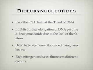 Dideoxynucleotides
• Lack the -OH chain at the 3’ end of DNA

• Inhibits further elongation of DNA past the
  dideoxynucleotide due to the lack of the O
  atom

• Dyed to be seen once ﬂuoresced using laser
  beams

• Each nitrogenous bases ﬂuoresces different
  colours
 