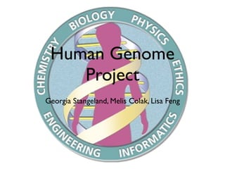Human Genome
    Project
Georgia Stangeland, Melis Colak, Lisa Feng
 