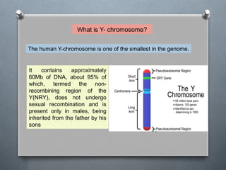YSTR analysis and its importance in forensic science | PPTX