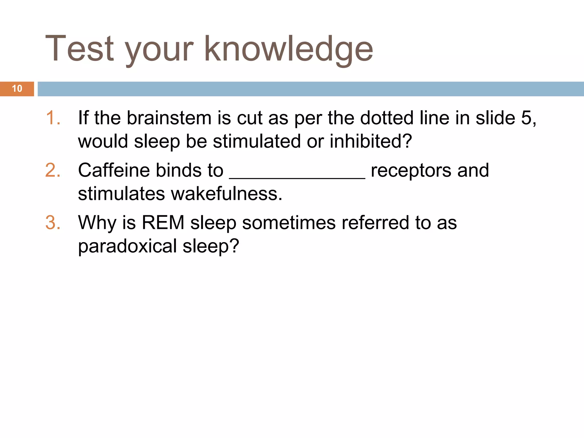 10
1. If the brainstem is cut as per the dotted line in slide 5,
would sleep be stimulated or inhibited?
2. Caffeine binds to ______________ receptors and
stimulates wakefulness.
3. Why is REM sleep sometimes referred to as
paradoxical sleep?
Test your knowledge
 