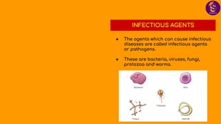 INFECTIOUS AGENTS
● The agents which can cause infectious
diseases are called infectious agents
or pathogens.
● These are bacteria, viruses, fungi,
protozoa and worms.
 