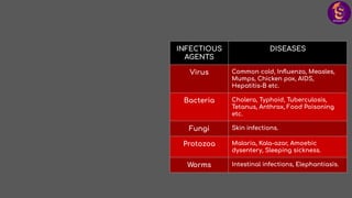 INFECTIOUS
AGENTS
DISEASES
Virus Common cold, Inﬂuenza, Measles,
Mumps, Chicken pox, AIDS,
Hepatitis-B etc.
Bacteria Cholera, Typhoid, Tuberculosis,
Tetanus, Anthrax, Food Poisoning
etc.
Fungi Skin infections.
Protozoa Malaria, Kala-azar, Amoebic
dysentery, Sleeping sickness.
Worms Intestinal infections, Elephantiasis.
 