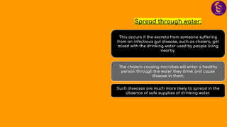 Spread through water:
This occurs if the excreta from someone suffering
from an infectious gut disease, such as cholera, get
mixed with the drinking water used by people living
nearby.
The cholera causing microbes will enter a healthy
person through the water they drink and cause
disease in them.
Such diseases are much more likely to spread in the
absence of safe supplies of drinking water.
 