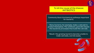 Commonly block biochemical pathways important
for bacteria.
Many bacteria, for example, make a cell-wall to
protect themselves. The antibiotic penicillin blocks
the bacterial processes that build the cell wall.
Result- the growing bacteria become unable to
make cell-walls, and die easily.
To kill the cause of the disease:
ANTIBIOTICS
 