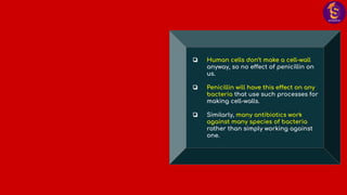 ❏ Human cells don’t make a cell-wall
anyway, so no effect of penicillin on
us.
❏ Penicillin will have this effect on any
bacteria that use such processes for
making cell-walls.
❏ Similarly, many antibiotics work
against many species of bacteria
rather than simply working against
one.
 