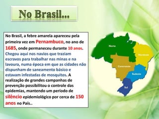 No Brasil, a febre amarela apareceu pela
primeira vez em Pernambuco, no ano de
1685, onde permaneceu durante 10 anos.
Chegou aqui nos navios que traziam
escravos para trabalhar nas minas e na
lavoura, numa época em que as cidades não
dispunham de saneamento básico e
estavam infestadas de mosquitos. A
realização de grandes campanhas de
prevenção possibilitou o controle das
epidemias, mantendo um período de
silêncio epidemiológico por cerca de 150
anos no País..
 