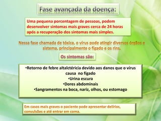 Uma pequena porcentagem de pessoas, podem
desenvolver sintomas mais graves cerca de 24 horas
após a recuperação dos sintomas mais simples.
•Retorno de febre altalctéricia devido aos danos que o vírus
causa no fígado
•Urina escura
•Dores abdominais
•Sangramentos na boca, nariz, olhos, ou estomago
 