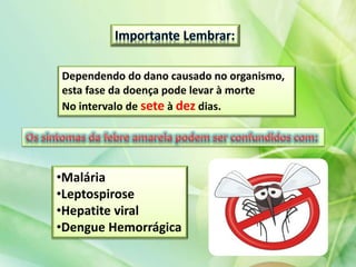 Dependendo do dano causado no organismo,
esta fase da doença pode levar à morte
No intervalo de sete à dez dias.
•Malária
•Leptospirose
•Hepatite viral
•Dengue Hemorrágica
 