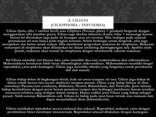 Ciliata (latin, cilia = rambut kecil) atau Ciliphora (Yunani, phora = gerakan) bergerak dengan
menggunakan silia (rambut getar). Ciliata juga disebut infusoria (Latin, infus = menuang) karena
hewan ini ditemukan juga pada air buangan atau air cucuran. Silia terdapat pada seluruh
permukaan sel atau hanya pada bagian tertentu. Selain berfungsi untuk bergerak, silia juga
merupakan alat bantu untuk makan. Silia membantu pergerakan makanan ke sitoplasma. Makanan
terkumpul di sitoplasma akan dilanjutkan ke dalam sitofaring (kerongkongan sel). Apabila telah
penuh, makanan akan masuk ke sitoplasma dengan membentuk vakuola makanan.
Sel Ciliata memiliki ciri khusus lain, yaitu memiliki dua inti; makronukleus dan mikronukleus.
Makronukleus berukuran lebih besar dibandingkan mikronukleus. Makronukleus memiliki fungsi
reproduksi, yaitu pada konjugasi. Ciliata juga memiliki trikokis yang fungsinya untuk pertahanan
diri dari musuh.
Ciliata hidup bebas di lingkungan berair, baik air tawar maupun air laut. Ciliata juga hidup di
dalam tubuh hewan lain secara simbiosis maupun parasit. Ciliate yang hidup bebaas di alam
contohnya Paramecium caudatum, Didinium, Stentor, Balantidium, dan Vorticella. Jenis lainnya
hidup bersimbiosis dengan perut hewan pemakan rumput dan berfungsi membantu hewan tersebut
mencerna selulosa yang terdapat dalam rumput. Hanya sedikit jenis Ciliata yang hidup sebagai
parasit. Salah satunya Balantidium coli. Ciliata ini hidup pada usus besar ternak atau manusia dan
dapat menyebabkan diare (balantidiosis).
Ciliata melakukan reproduksi secara aseksual dan seksual. Reproduksi aseksual, yaitu dengan
pembelahan biner membujur (transversal). Reproduksi seksual dilakukan dengan konjugasi.
A. CILIATA
(CILIOPHORA / INFUSORIA)
 