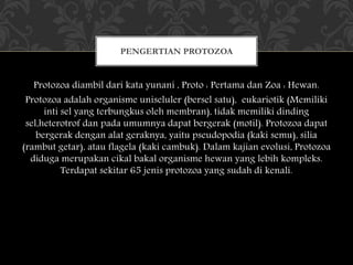 Protozoa diambil dari kata yunani , Proto : Pertama dan Zoa : Hewan.
Protozoa adalah organisme uniseluler (bersel satu), eukariotik (Memiliki
inti sel yang terbungkus oleh membran), tidak memiliki dinding
sel,heterotrof dan pada umumnya dapat bergerak (motil). Protozoa dapat
bergerak dengan alat geraknya, yaitu pseudopodia (kaki semu), silia
(rambut getar), atau flagela (kaki cambuk). Dalam kajian evolusi, Protozoa
diduga merupakan cikal bakal organisme hewan yang lebih kompleks.
Terdapat sekitar 65 jenis protozoa yang sudah di kenali.
PENGERTIAN PROTOZOA
 