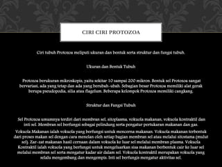 Ciri tubuh Protozoa meliputi ukuran dan bentuk serta struktur dan fungsi tubuh.
Ukuran dan Bentuk Tubuh
Protozoa berukuran mikroskopis, yaitu sekitar 10 sampai 200 mikron. Bentuk sel Protozoa sangat
bervariasi, ada yang tetap dan ada yang berubah-ubah. Sebagian besar Protozoa memiliki alat gerak
berupa pseudopodia, silia atau flagelum. Beberapa kelompok Protozoa memiliki cangkang.
Struktur dan Fungsi Tubuh
Sel Protozoa umumnya terdiri dari membran sel, sitoplasma, vokuola makanan, vokuola kontraktil dan
inti sel. Membran sel berfungsi sebagai pelindung serta pengatur pertukaran makanan dan gas.
Vokuola Makanan ialah vokuola yang berfungsi untuk mencerna makanan. Vokuola makanan terbentuk
dari proses makan sel dengan cara menelan oleh setiap bagian membran sel atau melalui sitostama (mulut
sel). Zar-zat makanan hasil cernaan dalam vokuola ke luar sel melalui membran plasma. Vokuola
Kontraktil ialah vokuola yang berfungsi untuk mengeluarkan sisa makanan berbentuk cair ke luar sel
melalui membran sel serta mengatur kadar air dalam sel. Vokuola kontraktil merupakan vokuola yang
selalu mengembang dan mengempis. Inti sel berfungis mengatur aktivitas sel.
CIRI CIRI PROTOZOA
 